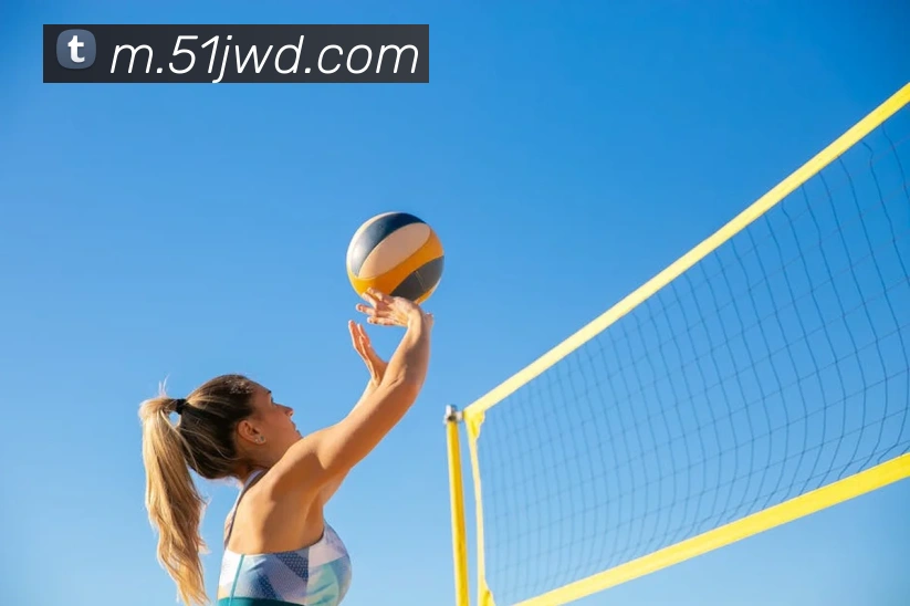 问鼎娱乐平台生态图